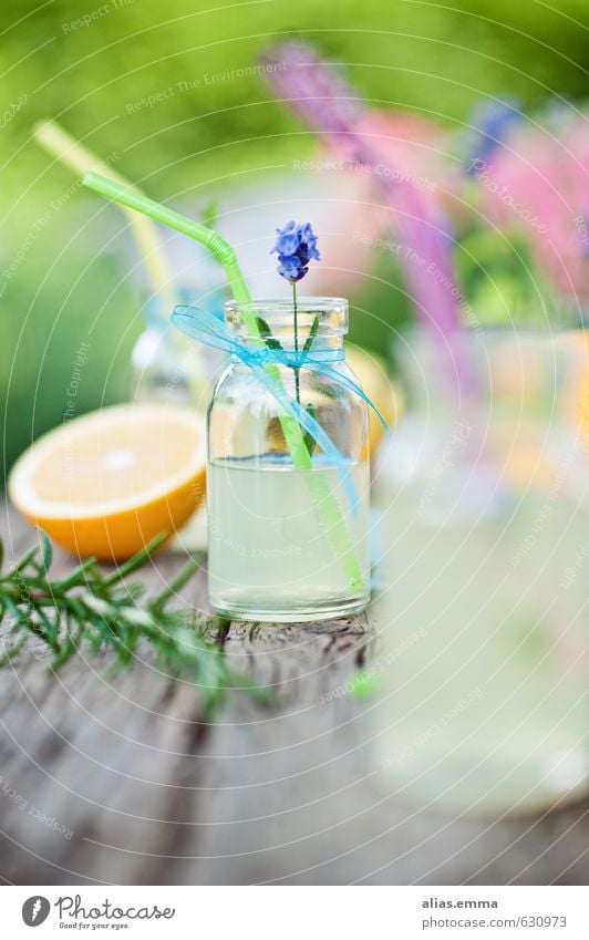 spring.break Food Picnic Beverage Cold drink Lemonade Juice Bottle Lifestyle Healthy Eating Relaxation Garden Feasts & Celebrations Spring Summer