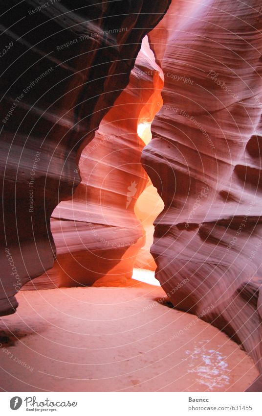 Antelope Canyon Vacation & Travel Tourism Trip Culture Nature Sand Tourist Attraction Stone Looking Warmth Brown Gold Orange Enthusiasm Calm Adventure Design