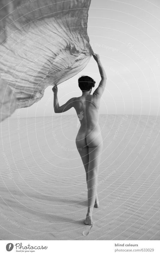 licence poétique Art Esthetic Contentment Nude photography Eroticism Woman Rag Blow Sky Walking Desert Sand Dune Woman's body Womens back Emancipation Back