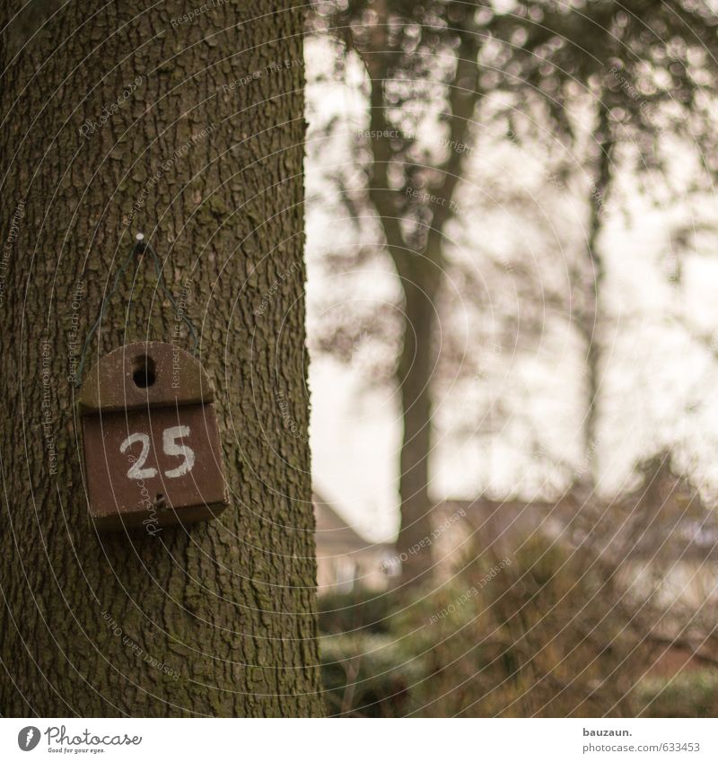 House number 25. Trip Garden Gardening Sky Plant Tree Bushes Park Bird Birdhouse Wood Digits and numbers Observe Living or residing Brown Happy