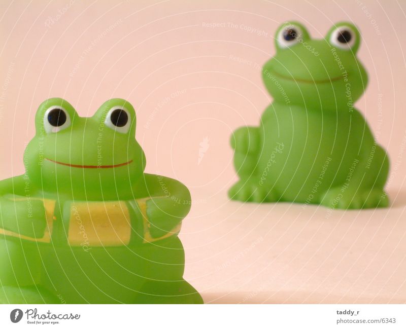 French Toys Green Frog Detail