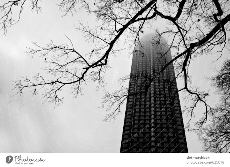 Into foggy skies Sky Fog Tree Frankfurt Trade Fair Germany Europe Town Downtown High-rise Tower Building Architecture Facade Landmark Concrete Glass Large