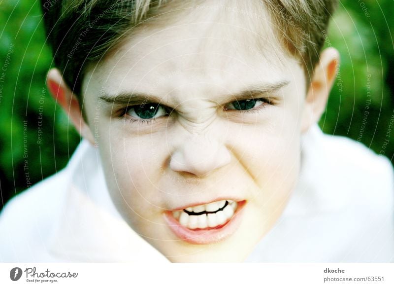 Leave my brother alone! Child Anger Threaten Scream Green Boy (child) Force 6 years Parenting Schoolchild