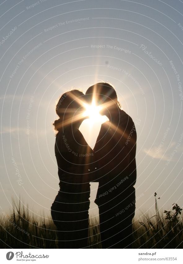 Kiss in the sun II Kissing Man Woman Sunset Love Embrace Couple kiss In pairs Lovers Together Relationship Trust Affection Harmonious Happy Related Infatuation