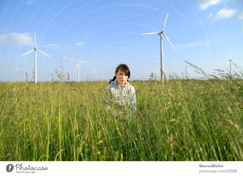 Laura Girl Meadow Summer Wind energy plant Grass Field Nature Idyll Green Blue Ecological Science & Research