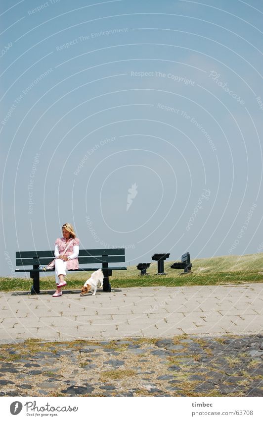 beach walk Dog Woman Green Seating Blonde Brunette Long Feminine Animal Meadow Ocean Beach Background picture Portrait format Going out Way out Elapse To enjoy