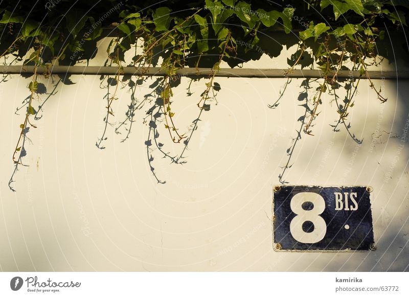 8BIS Street sign Ivy Plant Wall (building) Wall (barrier) Evening sun Sunset Paris eight Signs and labeling Shadow Mediterranean