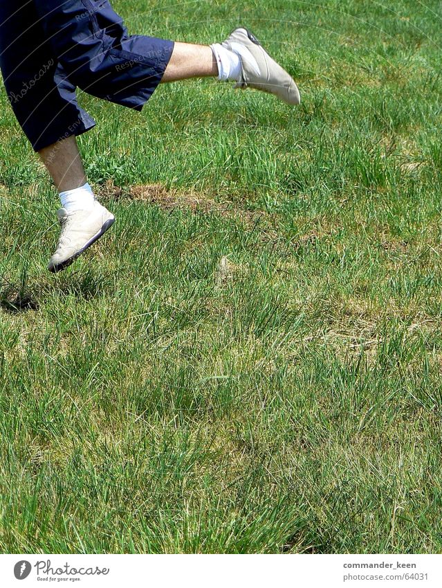 Jump!!! Footwear White Small Hop Grass Meadow Fluid Stupid Exterior shot hairy leg Skin Freedom