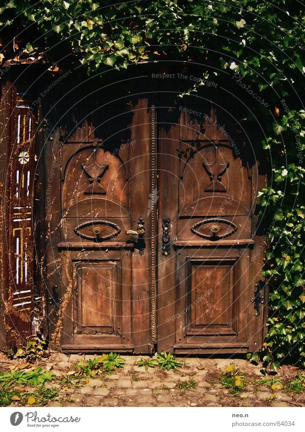 Secret door House (Residential Structure) Plant Ivy Castle Ruin Architecture Door Wood Key Old Dark Historic Brown Green Mysterious Carving Mystic Portal