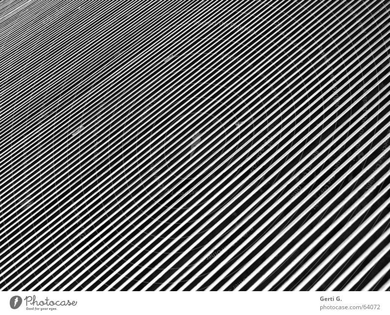 monochrome lines diagonal graphic Stripe Diagonal Abstract Graphic Electrical equipment Technology Industry Line Black & white photo Structures and shapes