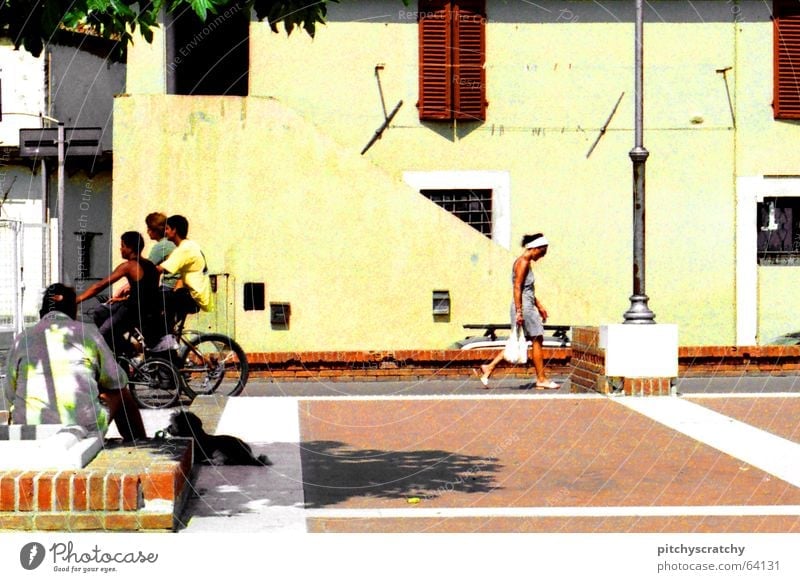 street scene Summer South Italy Town Serene Lunch hour Bicycle Dog Woman Man Siesta Midday Group Joy Street Human being Youth (Young adults) Mixture