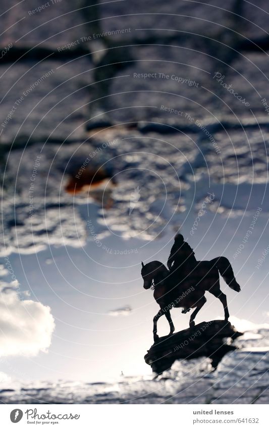 #AK Rider from Dresden Art Esthetic Equestrian statue Horseman's Festival Baroque Zwinger Puddle Reflection Perspective Opposite Cobblestones Heaven Forwards