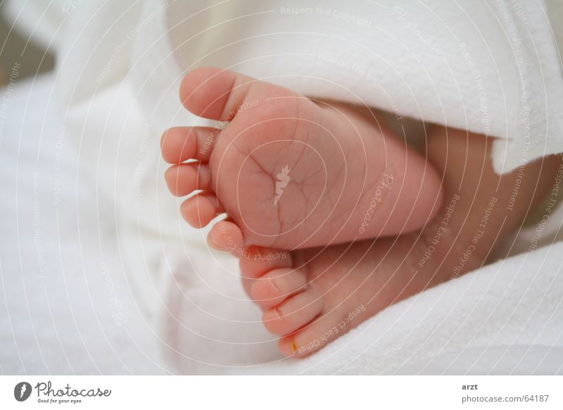 feet Toes Sole of the foot Footprint Baby Small Girl Relaxation Feet Blanket Lie Barefoot