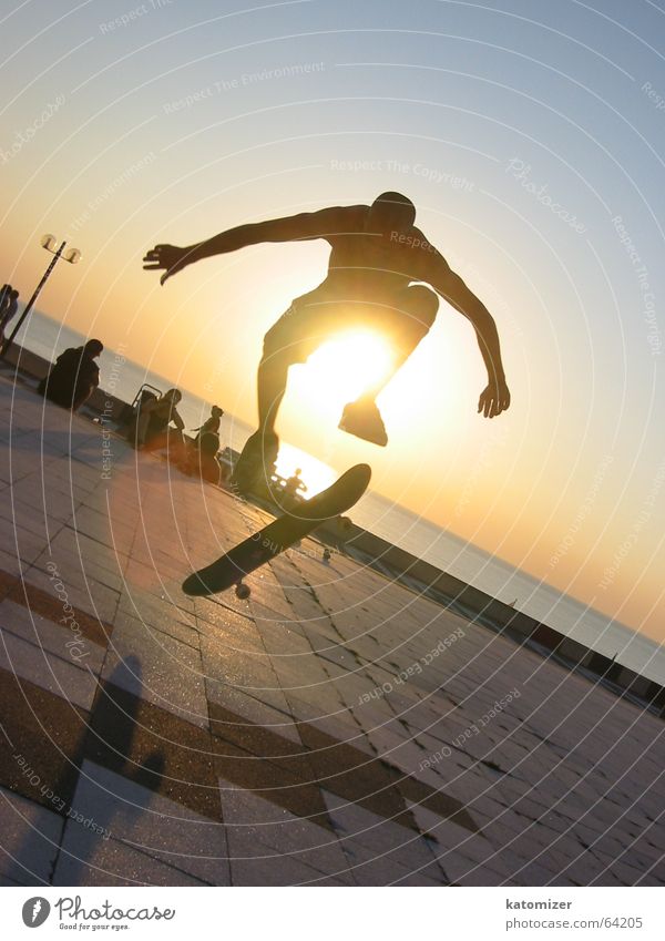 skate or the Sunset Man Skateboarding Sports Action Dynamics