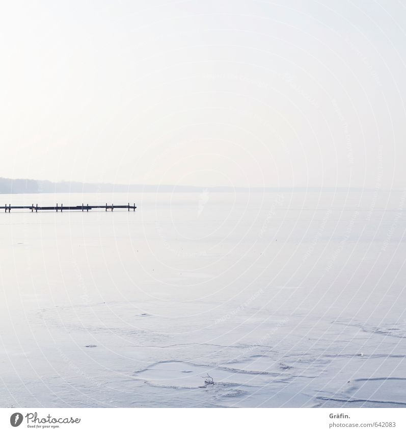 The little bit of winter Environment Landscape Water Cloudless sky Horizon Winter Beautiful weather Ice Frost Lakeside Steinhuder Lake Deserted Freeze Infinity