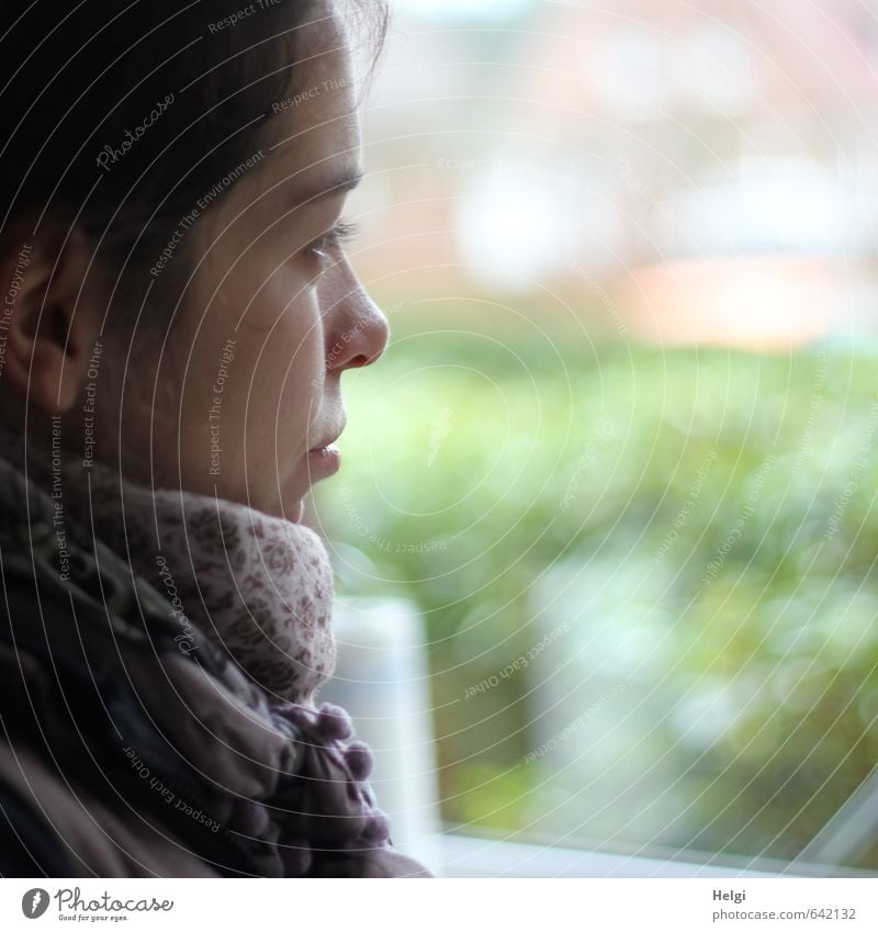 Face of a thoughtful young woman in profile Human being Feminine Young woman Youth (Young adults) Adults 1 18 - 30 years Scarf Looking Dream Wait Esthetic
