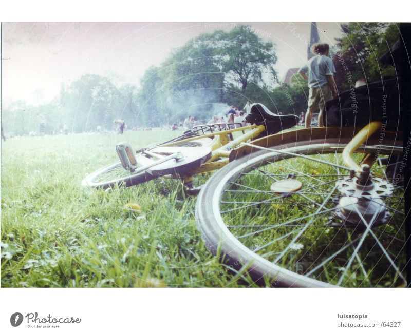 fog-wadden bicycle Bicycle Meadow Fog Park Green Leipzig Calm Contentment Exterior shot Freedom Sadness