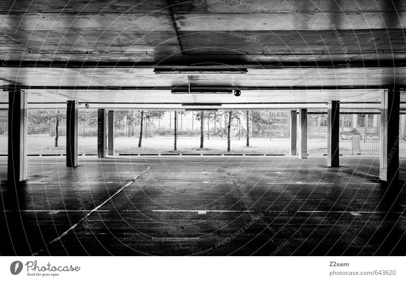 TG SW Tree Deserted Parking garage Manmade structures Building Architecture Dark Simple Modern Clean Gloomy Town Loneliness Center point Arrangement Perspective
