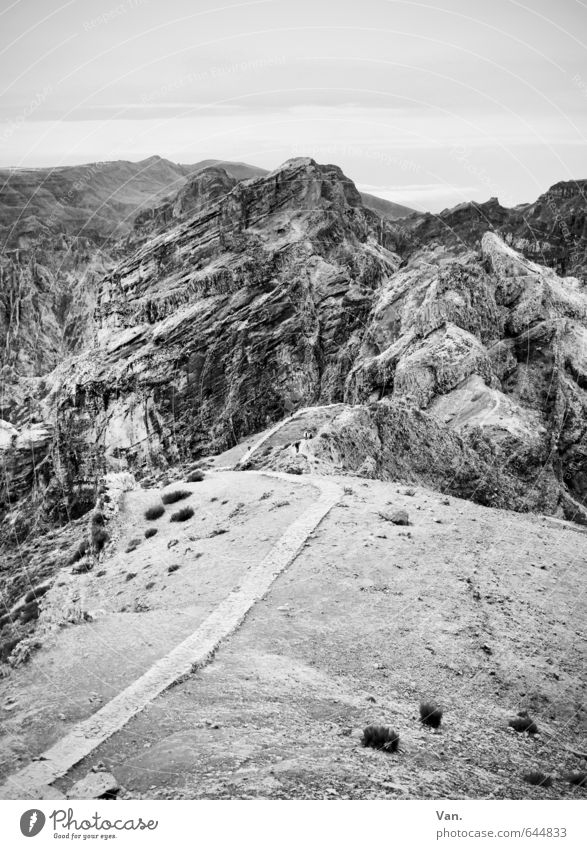 Top Mountain Hiking Nature Landscape Sky Bushes Rock Peak Calm Black & white photo Exterior shot Deserted Copy Space top Day Deep depth of field