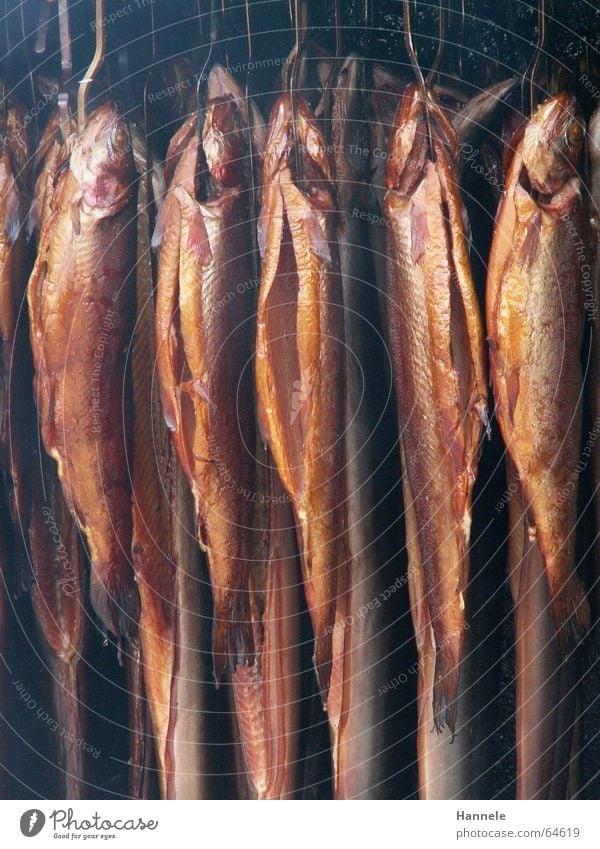 death sentence Hang Multiple Kipper made a noise Nutrition Death Many Mince Smoke hung Fish Smoked