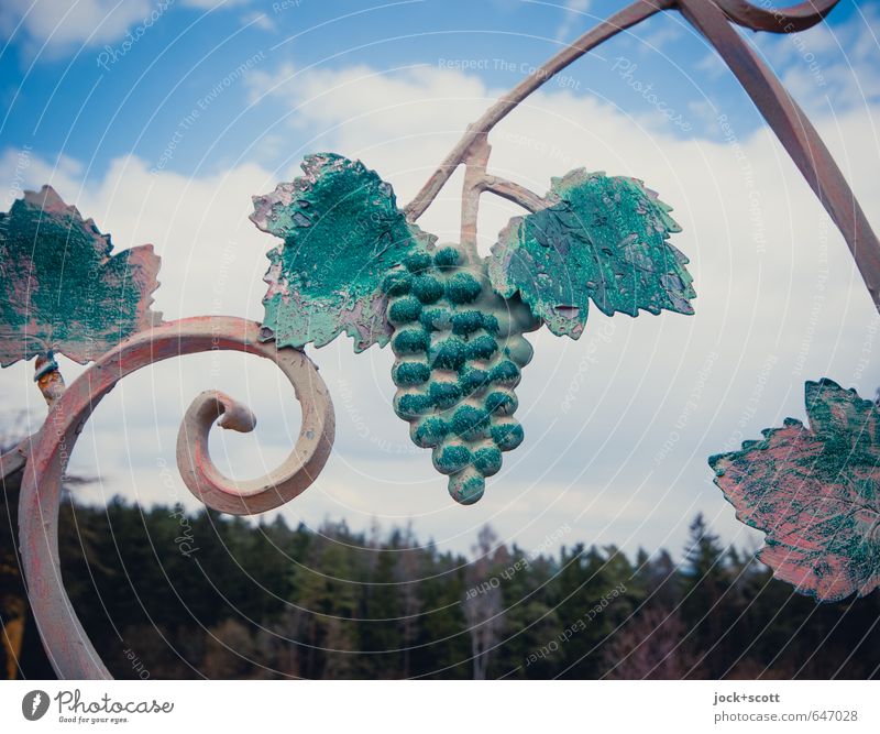 Wine, nothing else Style Arts and crafts Sky Clouds Bunch of grapes Vine Forest Franconian Switzerland Decoration Metal Esthetic Kitsch Retro Conscientiously