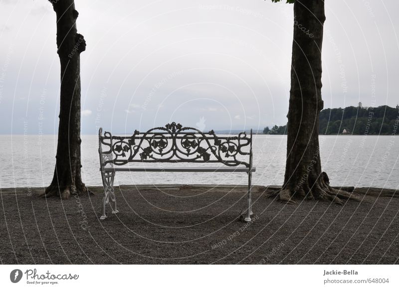 Bench at the lake Environment Nature Landscape Water Clouds Weather Bad weather Rain Tree Lake Deserted Pedestrian Lanes & trails Sand Metal Moody Contentment