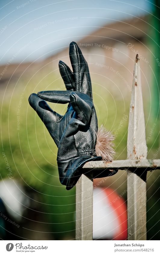 superb Lifestyle Elegant Black Gloves Fence post Forget Fingers Indicate Discovery Wayside Edinburgh Scotland Gesture Splay Funny Humor Leather Winter Cold