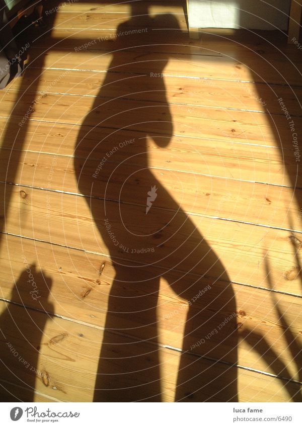 shady Shadow play Wooden floor Sun Summer Things