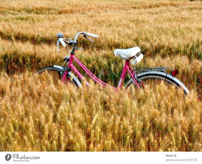 A babe in the cornfield Bicycle Pink White Bicycle tyre Field Cornfield Skid marks Break Relaxation Stop Cycling tour Forest path Agriculture Cereals Wheat