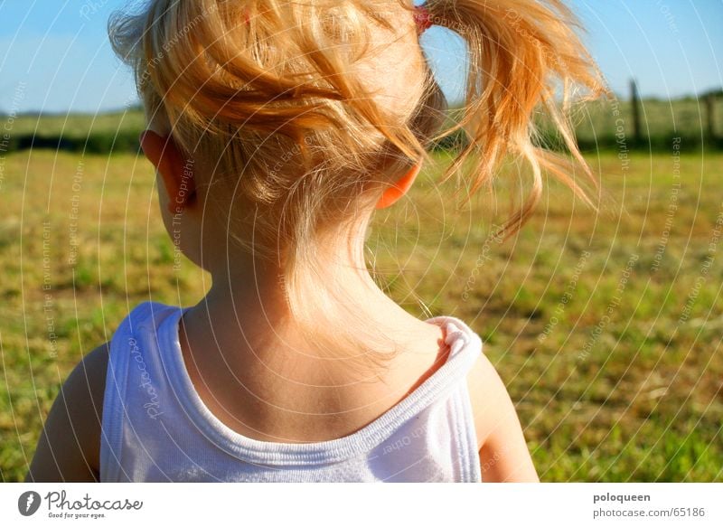 luna Girl Child Blonde Braids Summer Meadow Playing Wind Physics Nape Toddler Sun Warmth Back Head
