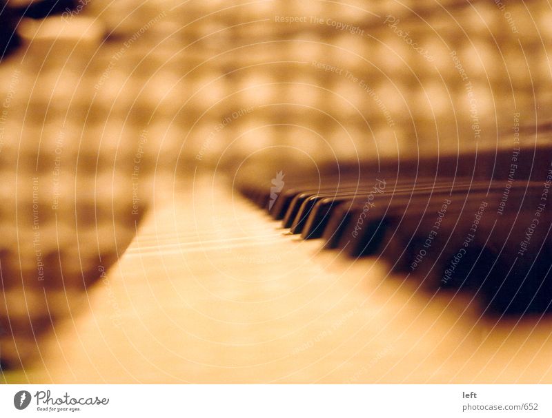 keyboard Blur Workshop Photographic technology Touch Piano Musical instrument