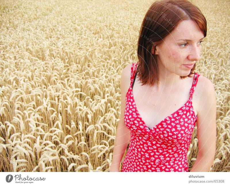 taking a ride with my best friend Portrait photograph Red Dress White Field Wheat Flower pushed Point Hair and hairstyles Summer