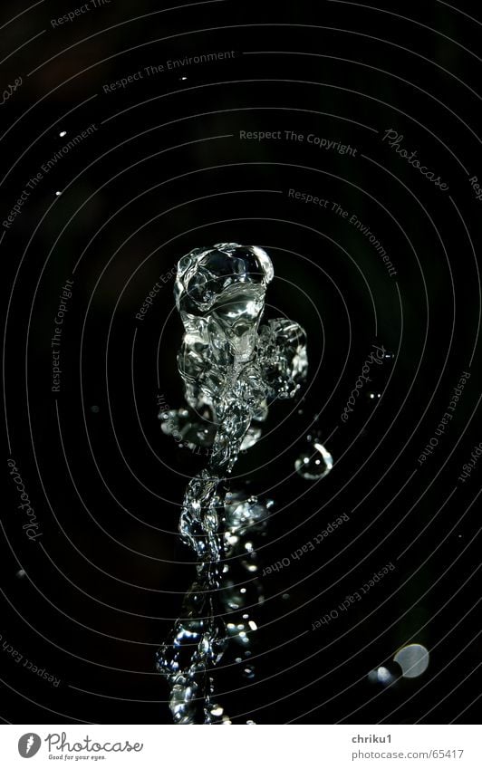 water sculpture Wet Drops of water Well Dark Night Bubbling Black Night shot Fountain Water figment of the imagination Movement