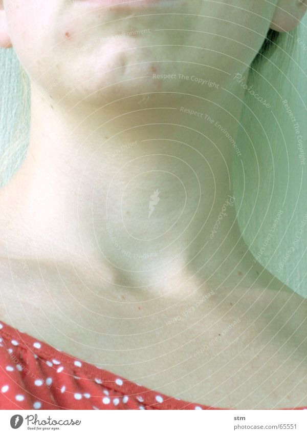 Half portrait of a woman (neck) Cold Green Summer Earnest Motionless Calm Blue rigor Ice