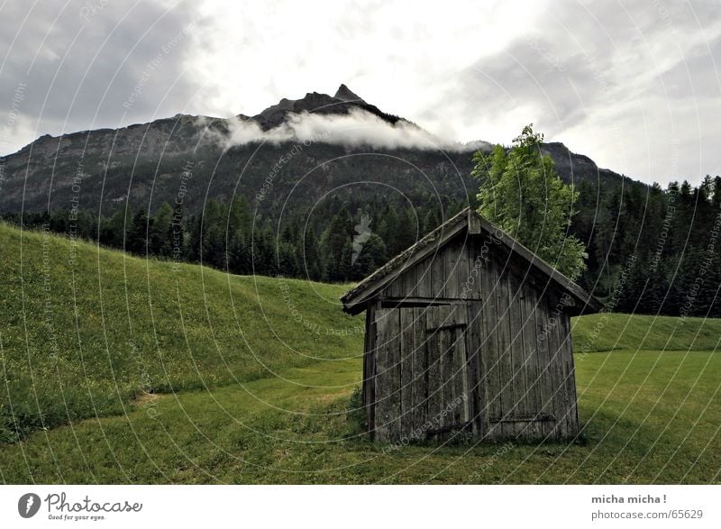 The hut Meadow Federal State of Tyrol Clouds Fog Forest Tree Calm Hut Mountain Weather