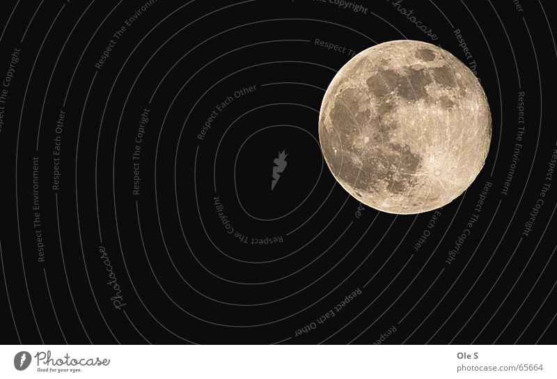 full moon Full  moon Moon Night Sky Night sky Evening Beautiful weather moon crater