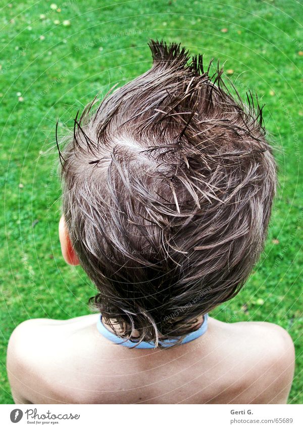undercover Bengel II Grass Green Meadow Boy (child) Hair and hairstyles Mohawk hairstyle Gel Shoulder Rear view Child Human being Ear without watering can