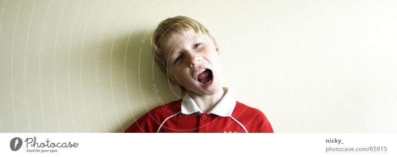 "cat" jammer Wall (building) Scream Red Jersey T-shirt Portrait photograph Child Evil Disappointment Funny Boy (child) boy Face Head Crazy Mouth Nose Eyes