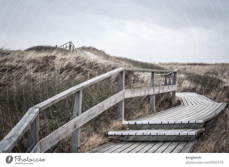 Sylt XIII Environment Nature Landscape Sky Grass North Sea Ocean Dune Marram grass Germany Europe Stairs Sand Wood Going Blue Brown Gray Banister Far-off places