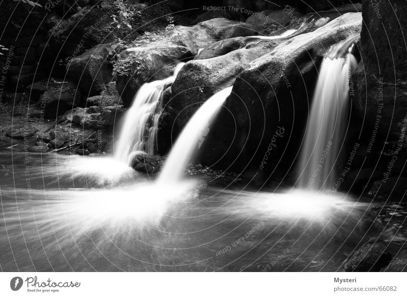 Mullerthal - Luxembourg Schiessentümpel Long exposure müllerthal Luxemburg Water Waterfall canon Black & white photo