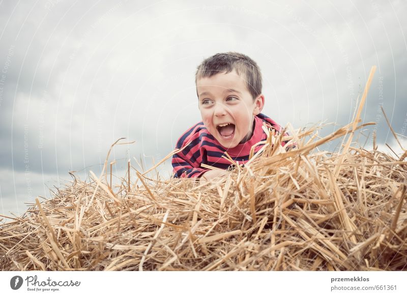 Boy calling from heap of hay Joy Playing Summer Child Schoolchild Boy (child) Infancy 1 Human being 3 - 8 years Clouds Laughter Small Cute Brown Euphoria