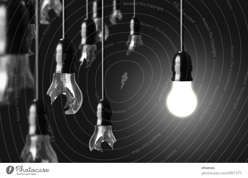 idea concept with broken bulbs and one glowing bulb Design Lamp Technology Bright Green Black White Energy Idea Creativity light lightbulb Photography Electric