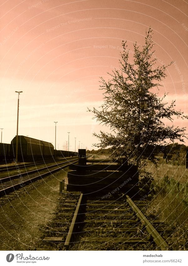 ENDSTATION IDYLLE | rails nature romance sunset Railroad Railroad tracks Tree Lantern Romance Grass Meadow Sky wagon Nature Idyll Loneliness