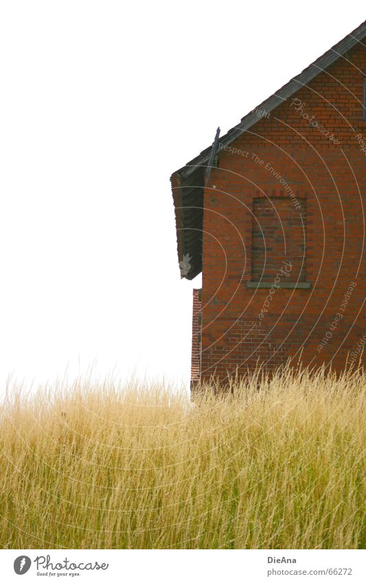 brick house Summer House (Residential Structure) Nature Grass Window Brick Green Red White Idyll Blade of grass blades bricks Partially visible Colour photo