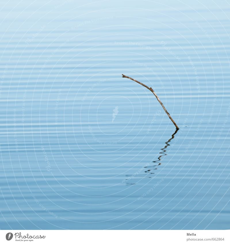 seismograph Environment Nature Water Pond Lake Line Natural Blue Movement Waves Swell Undulation Wave action Wavy line Stick Branch Twig Colour photo
