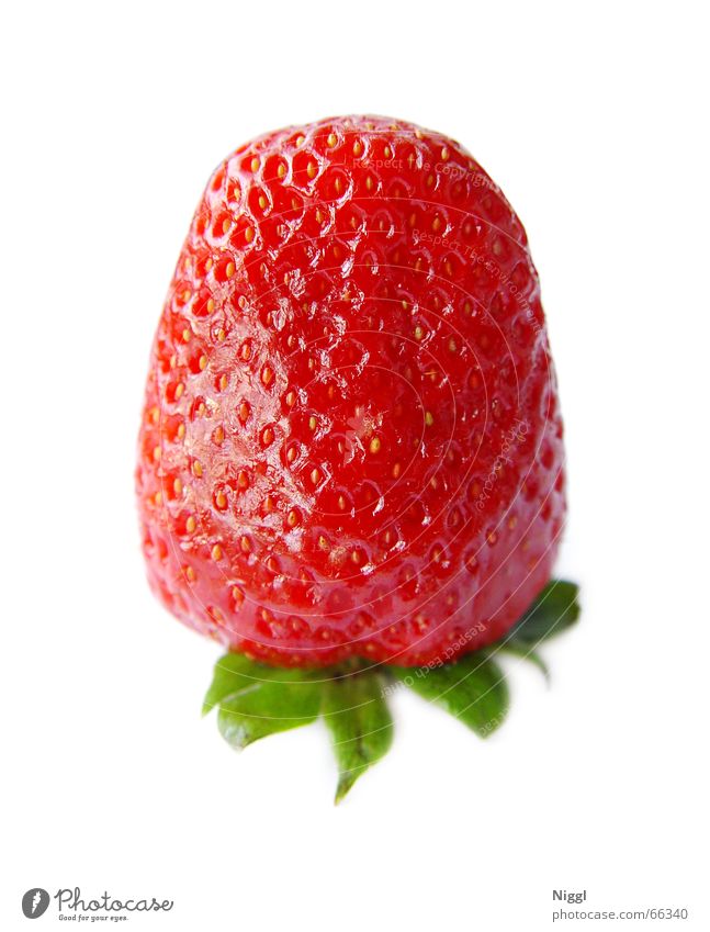 Strawberry II Food Red Vitamin Healthy Delicious Sweet Summer Nutrition Fruit Isolated Image Macro (Extreme close-up) niggl