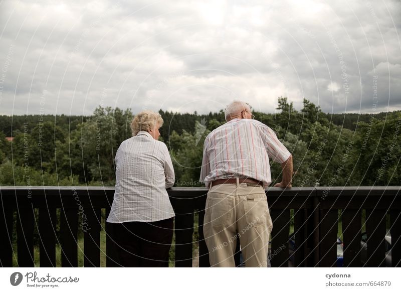 Stories behind the garden fence Healthy Life Relaxation Human being Female senior Woman Male senior Man Couple Senior citizen 2 45 - 60 years Adults
