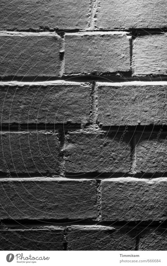 light and shadow. Living or residing House (Residential Structure) Wall (barrier) Wall (building) Brick Seam Line Esthetic Sharp-edged Simple Gray Black White