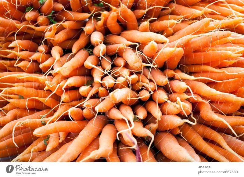 EAT THIS! Food Vegetable Carrot Nutrition Organic produce Vegetarian diet Healthy Fresh Delicious Many Orange Perspective Vitamin C Vitamin-rich Colour photo