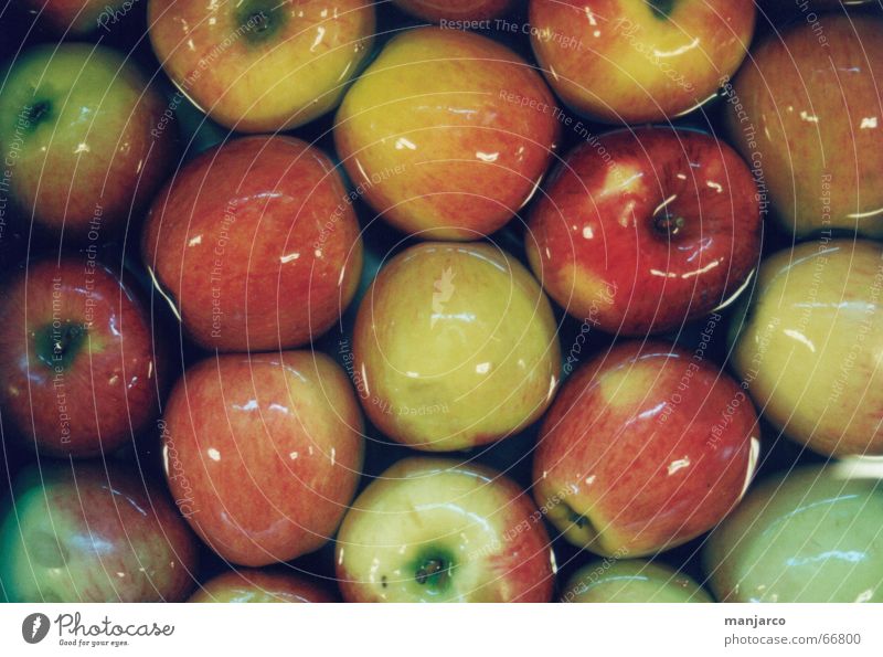 apple Delicious Red Yellow Green Narrow Multiple Food Cleaning Apple Stalk Water reflection Many abundance Nutrition